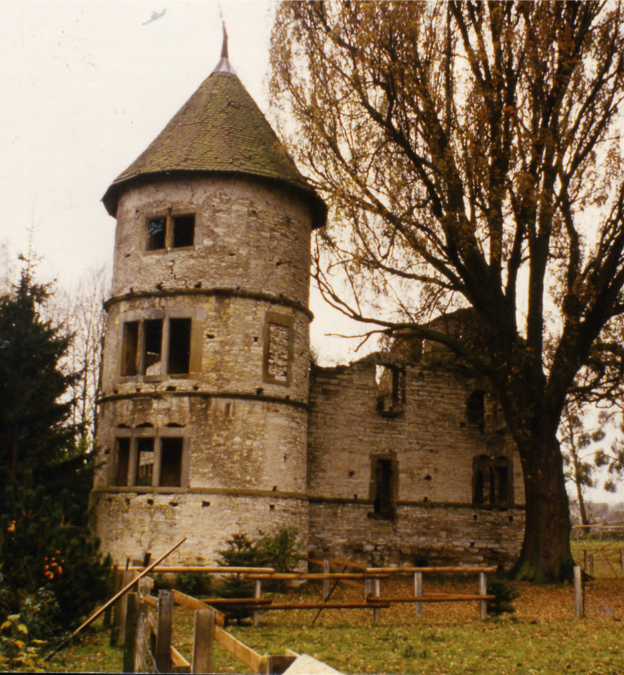 Herrenhaus von Norden (ca. 1980).